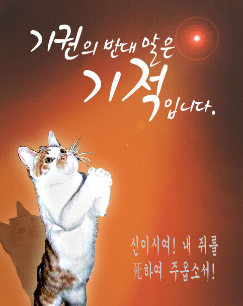 고양이 쥐사.JPG [펌] 신이시여! 내 쥐를 사하여 주옵소서!